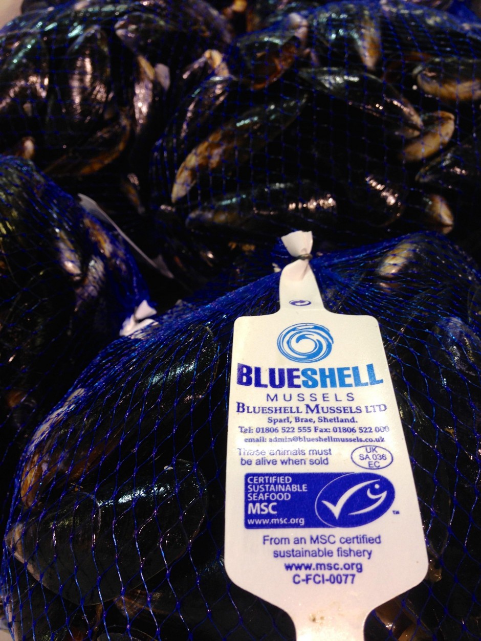 Live Shetland mussels