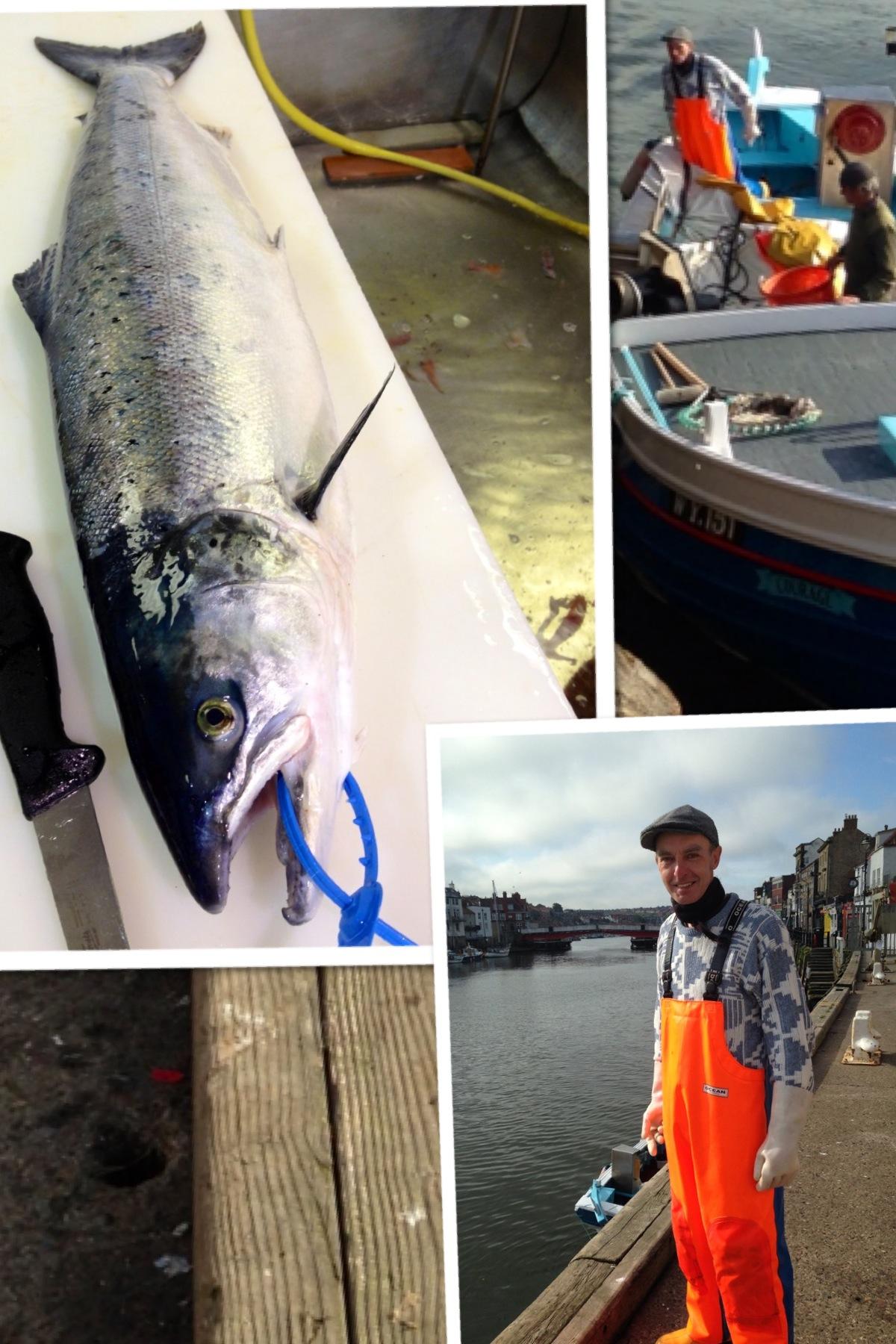 Wild Salmon & Sea Trout season