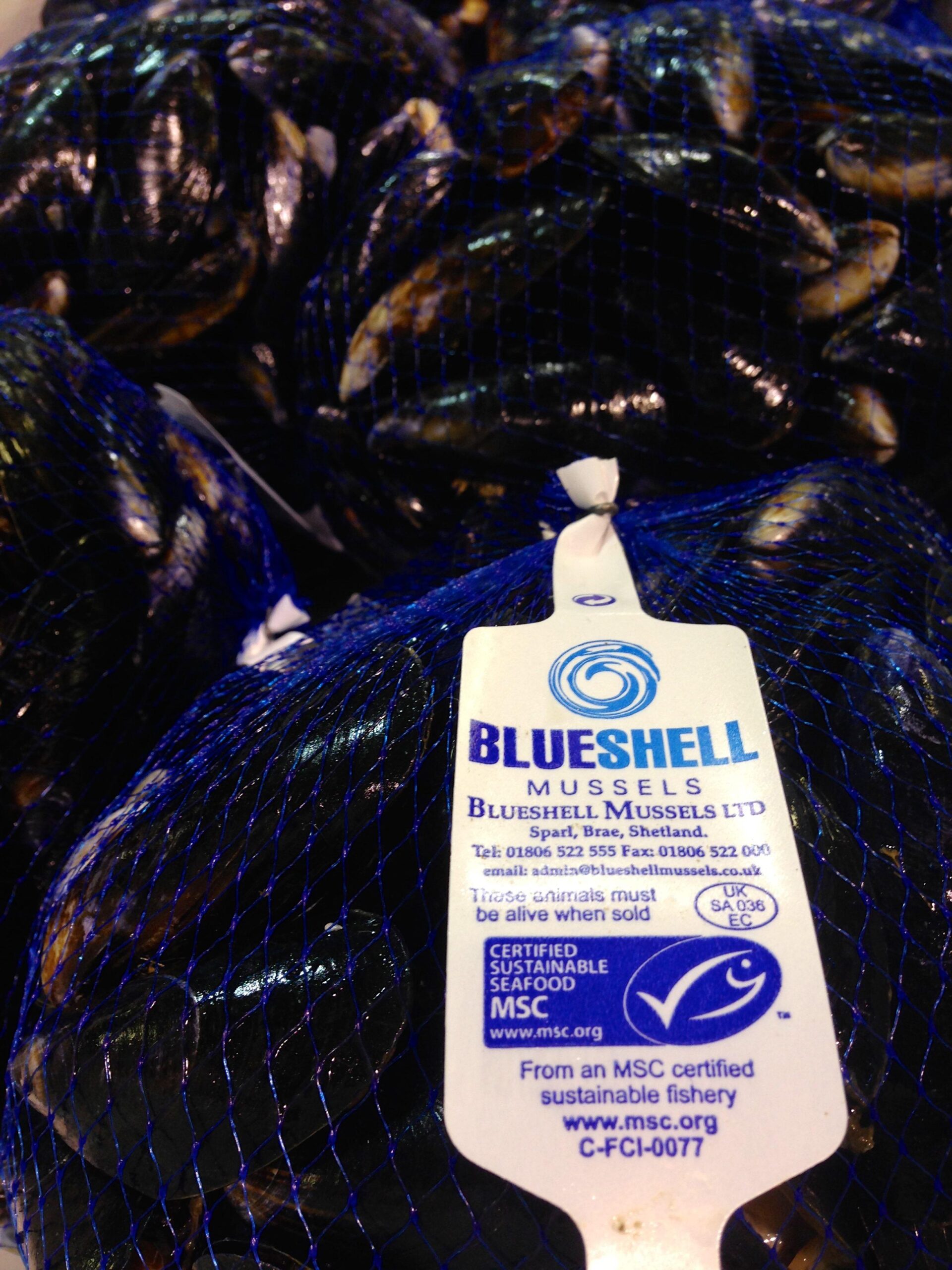 Shetland mussels are back